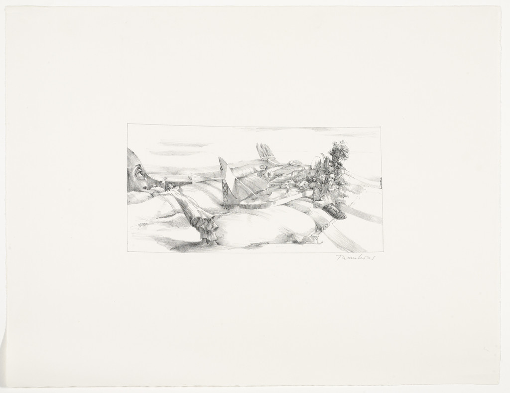 Persistent Rain (Das Landregen)