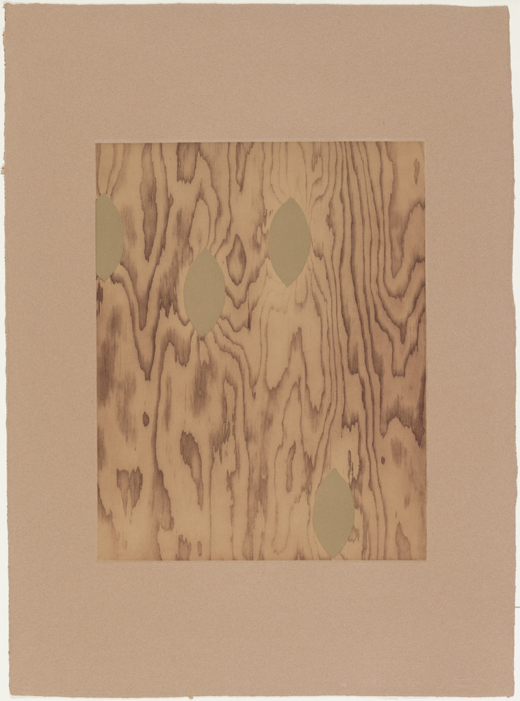 Barcham Green Portfolio #4 from the Barcham Green Portfolio