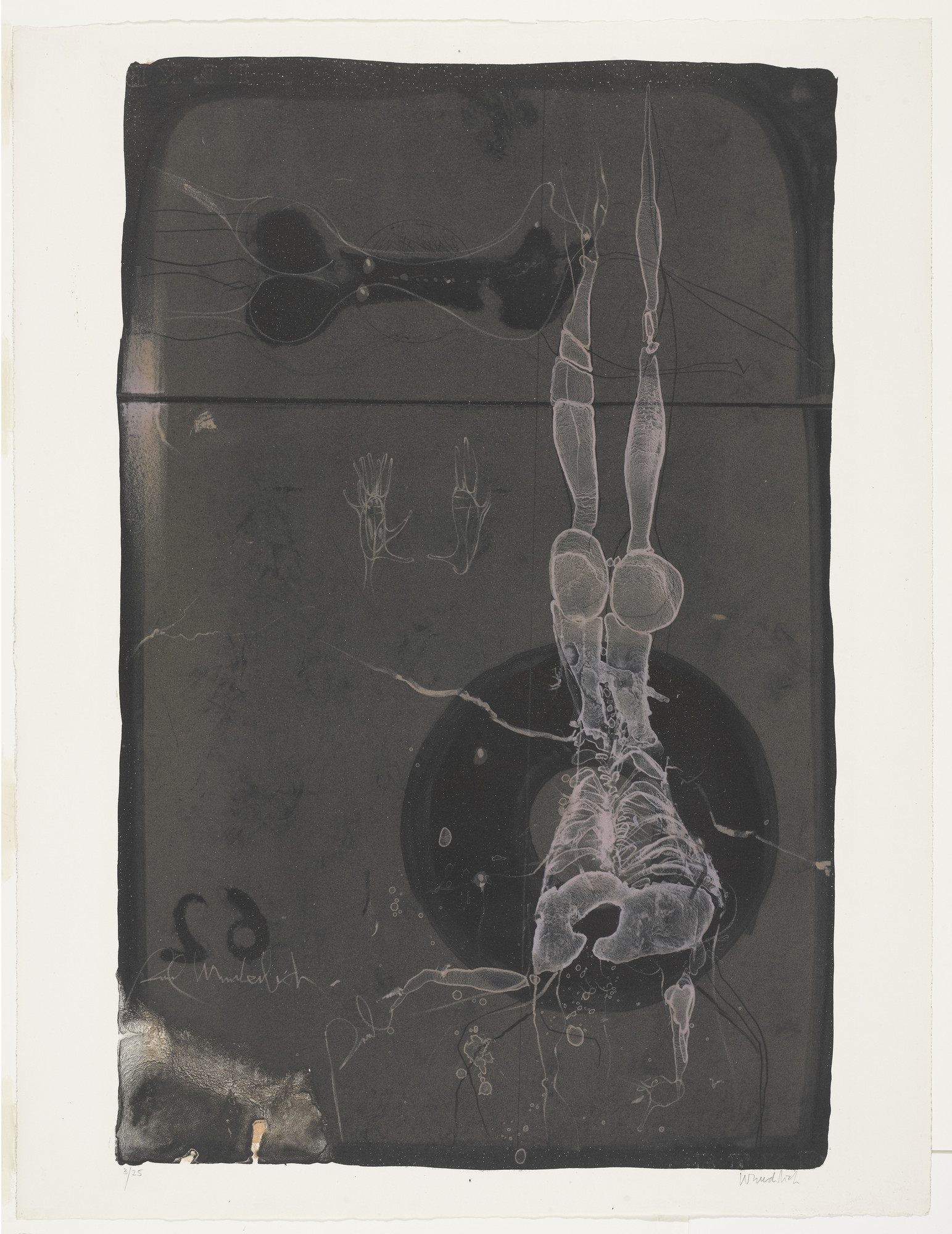 Paul Wunderlich | MoMA