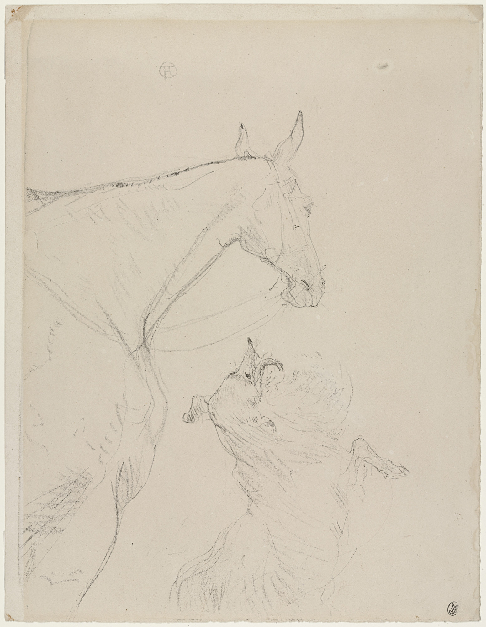 Henri de Toulouse-Lautrec. The Horse and The Collie (Le Cheval et le colley)