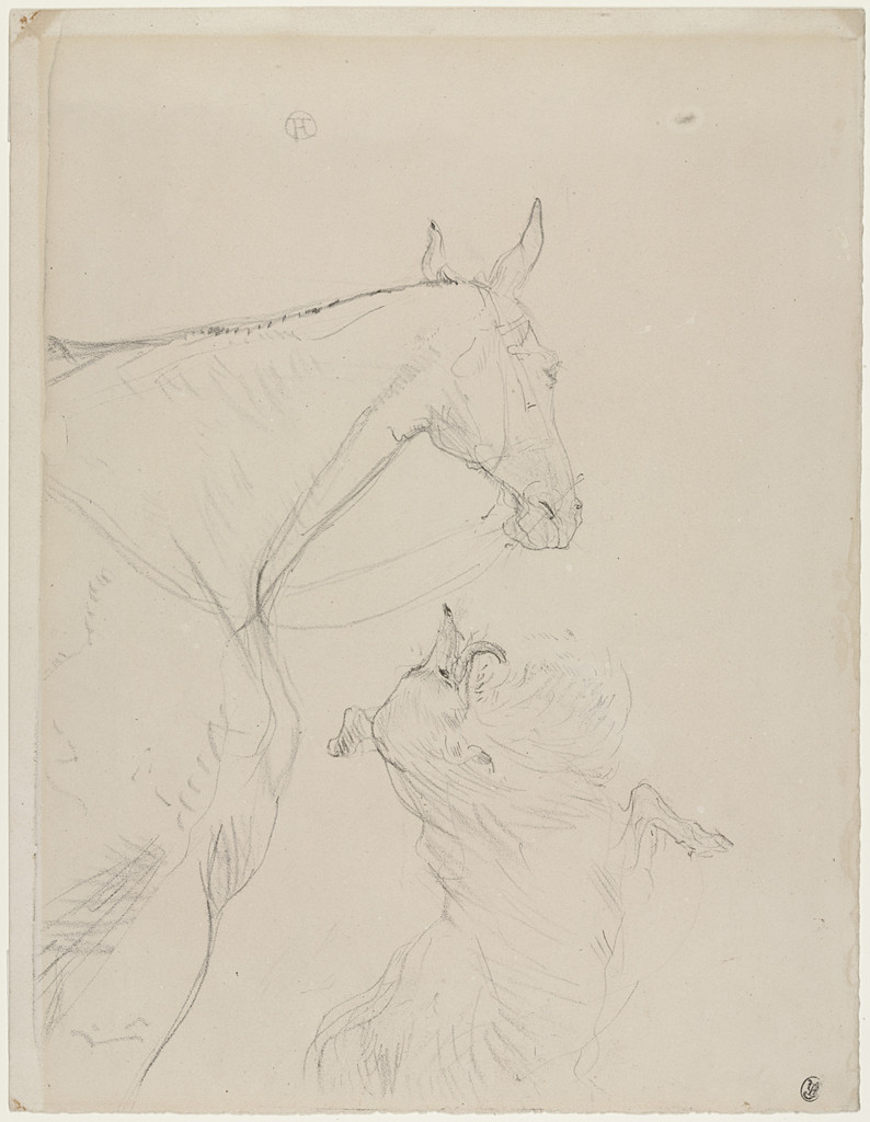 The Horse and The Collie (Le Cheval et le colley)