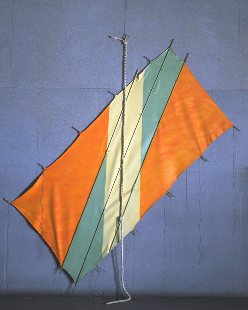 Kite