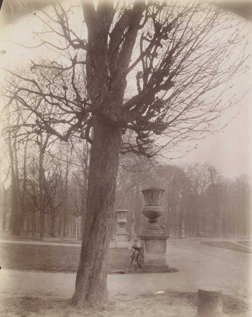Saint-Cloud