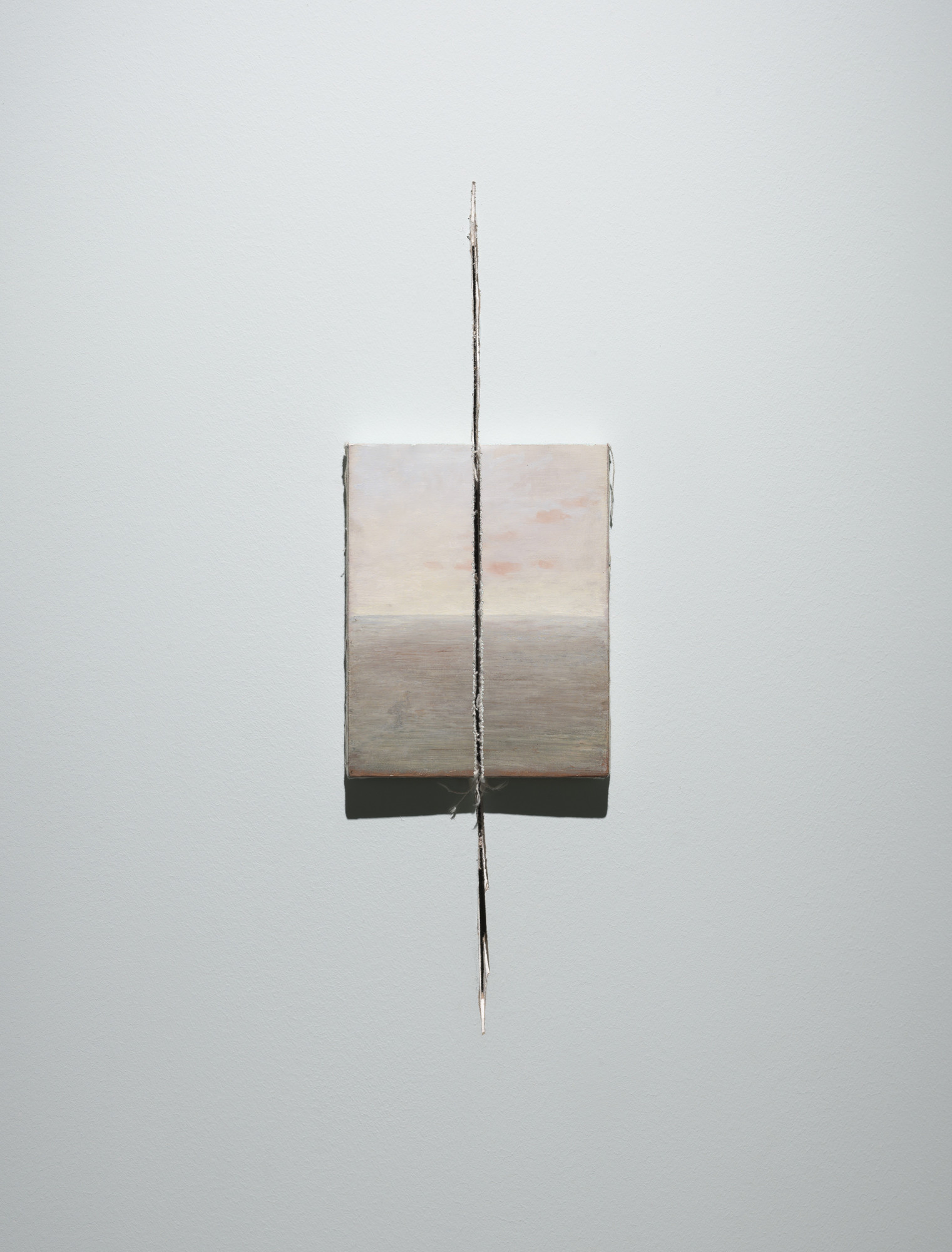 Francis Alÿs. Patagonia, November