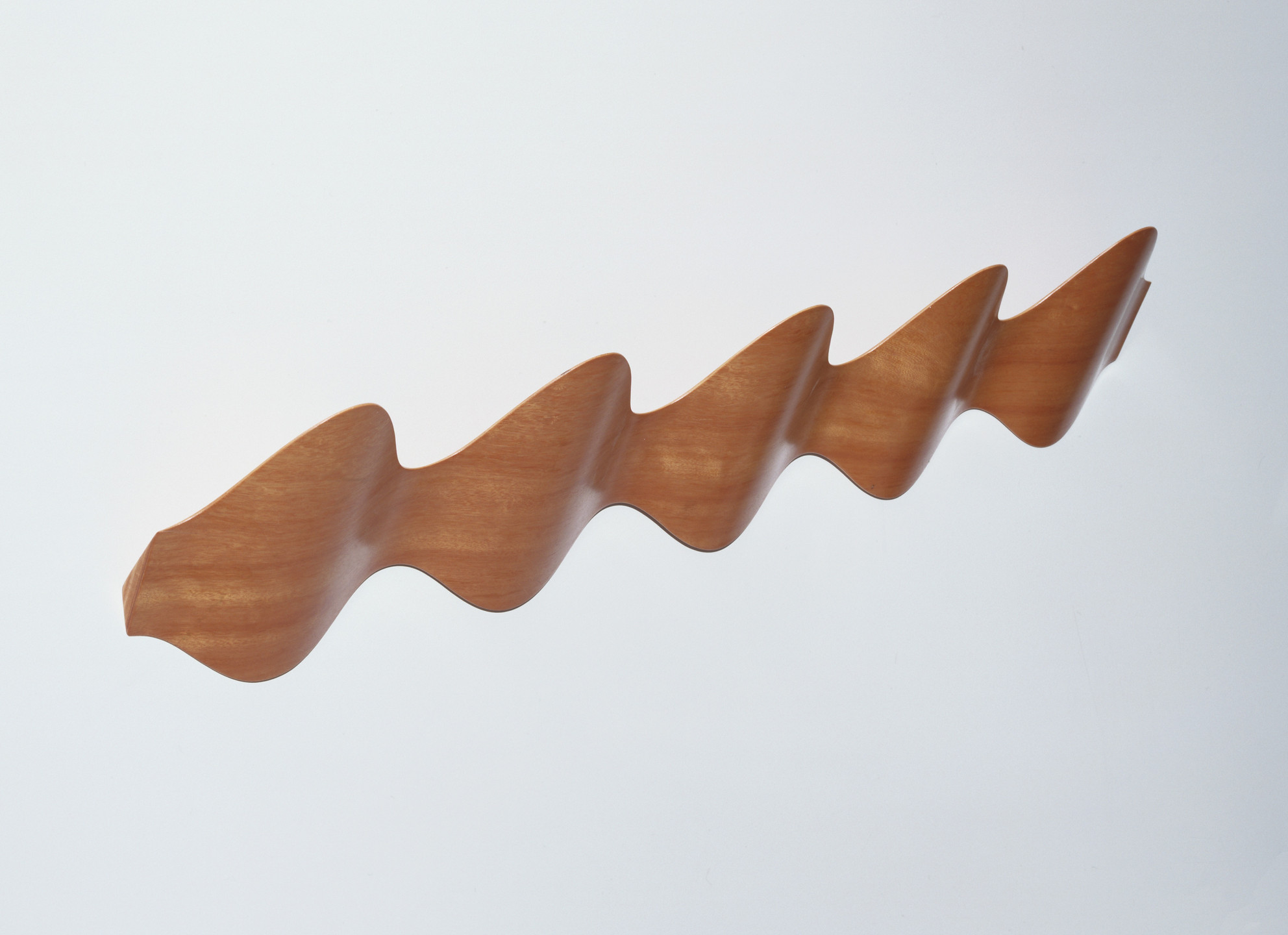 Montse Padrós i Marqués, Carlos Riart. Ona Coatrack. 1992