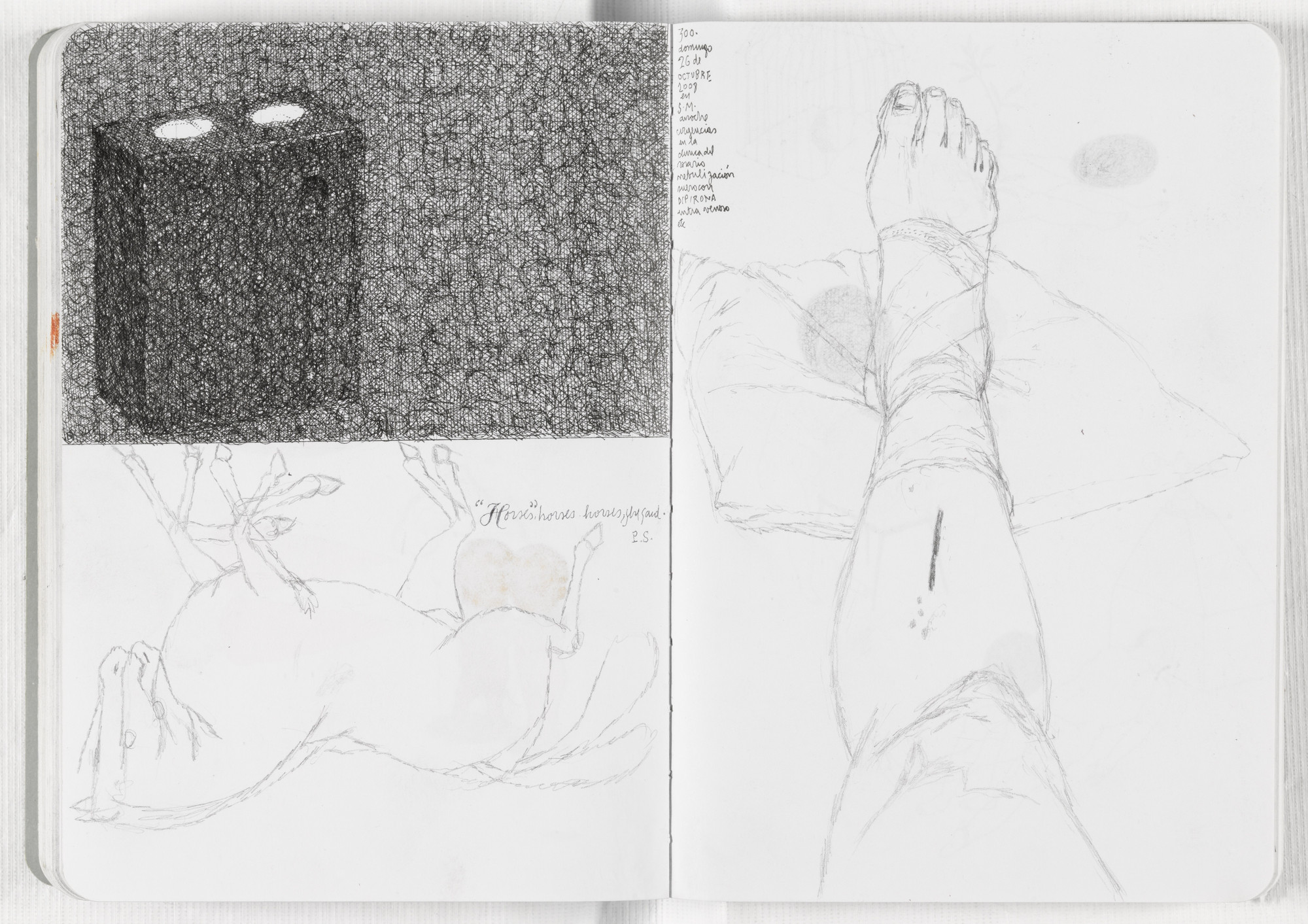 José Antonio Suárez Londoño. Sketchbook: From January 1 to December 31, 2008. 2008