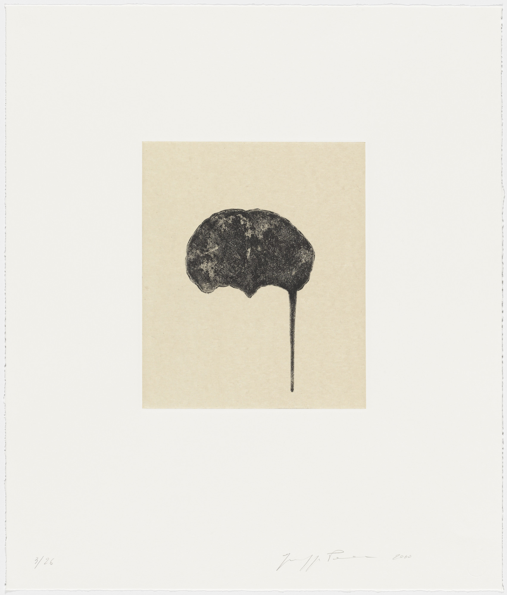 Giuseppe Penone. Brain I