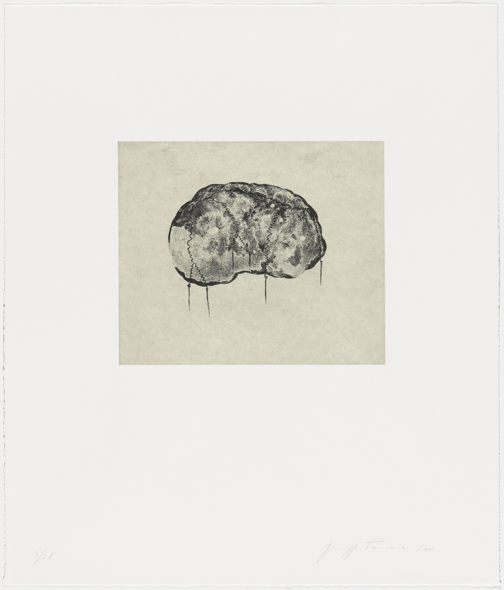 Giuseppe Penone. Brain II