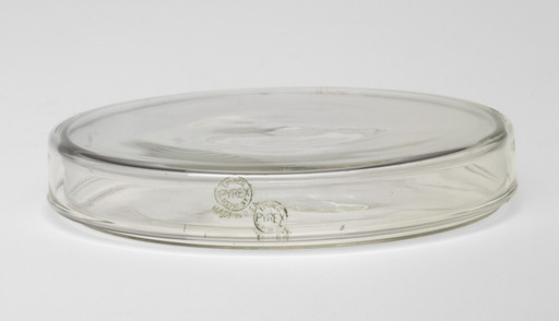 Covered Petri Dish