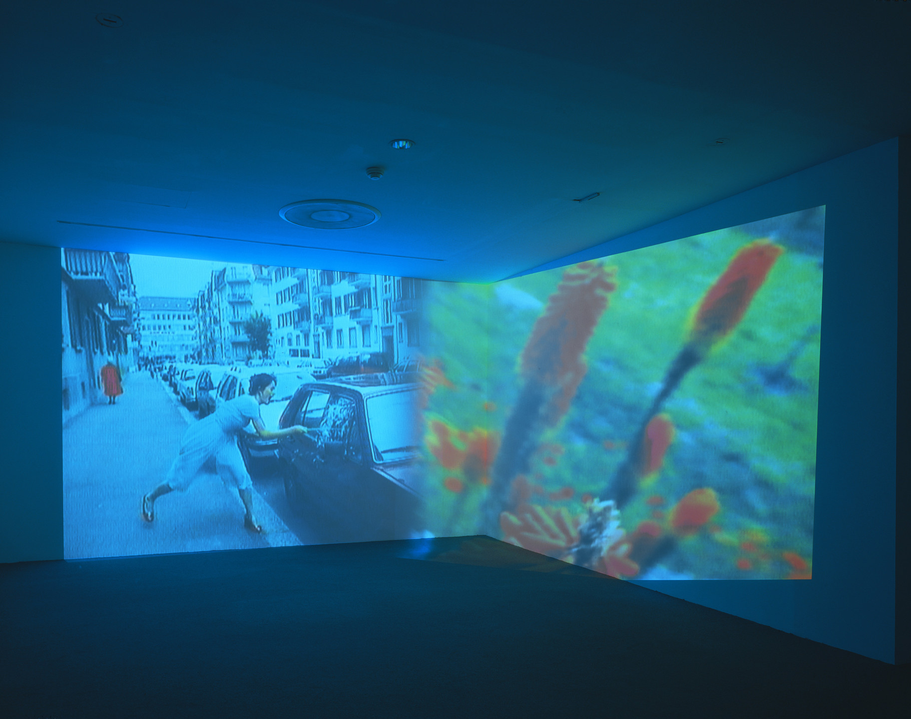 Pipilotti Rist. Ever Is Over All. 1997