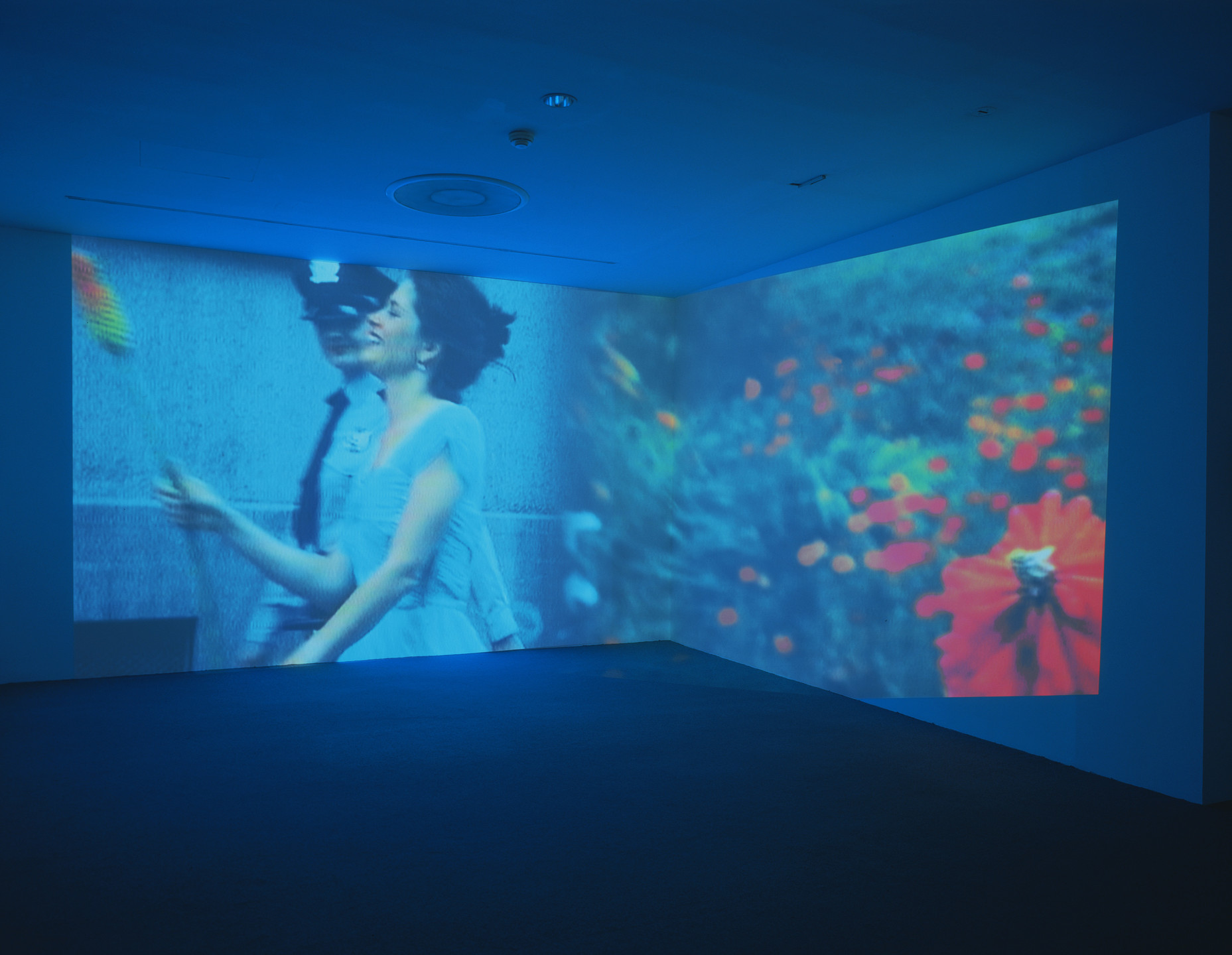 Pipilotti Rist. Ever Is Over All. 1997