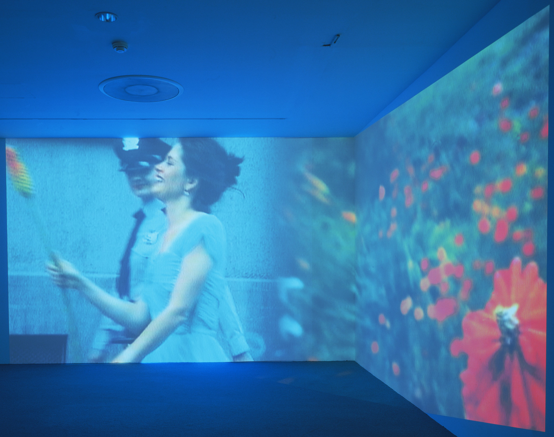 Pipilotti Rist. Ever Is Over All. 1997