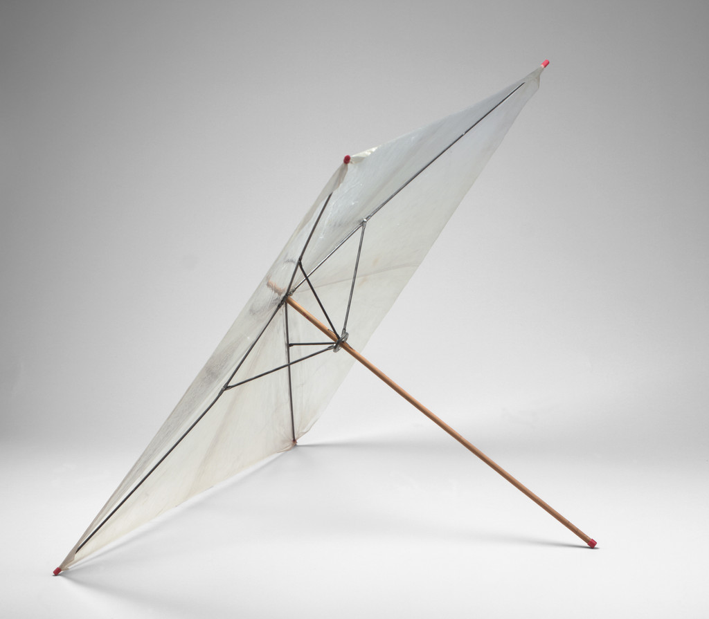 Emergency Umbrella