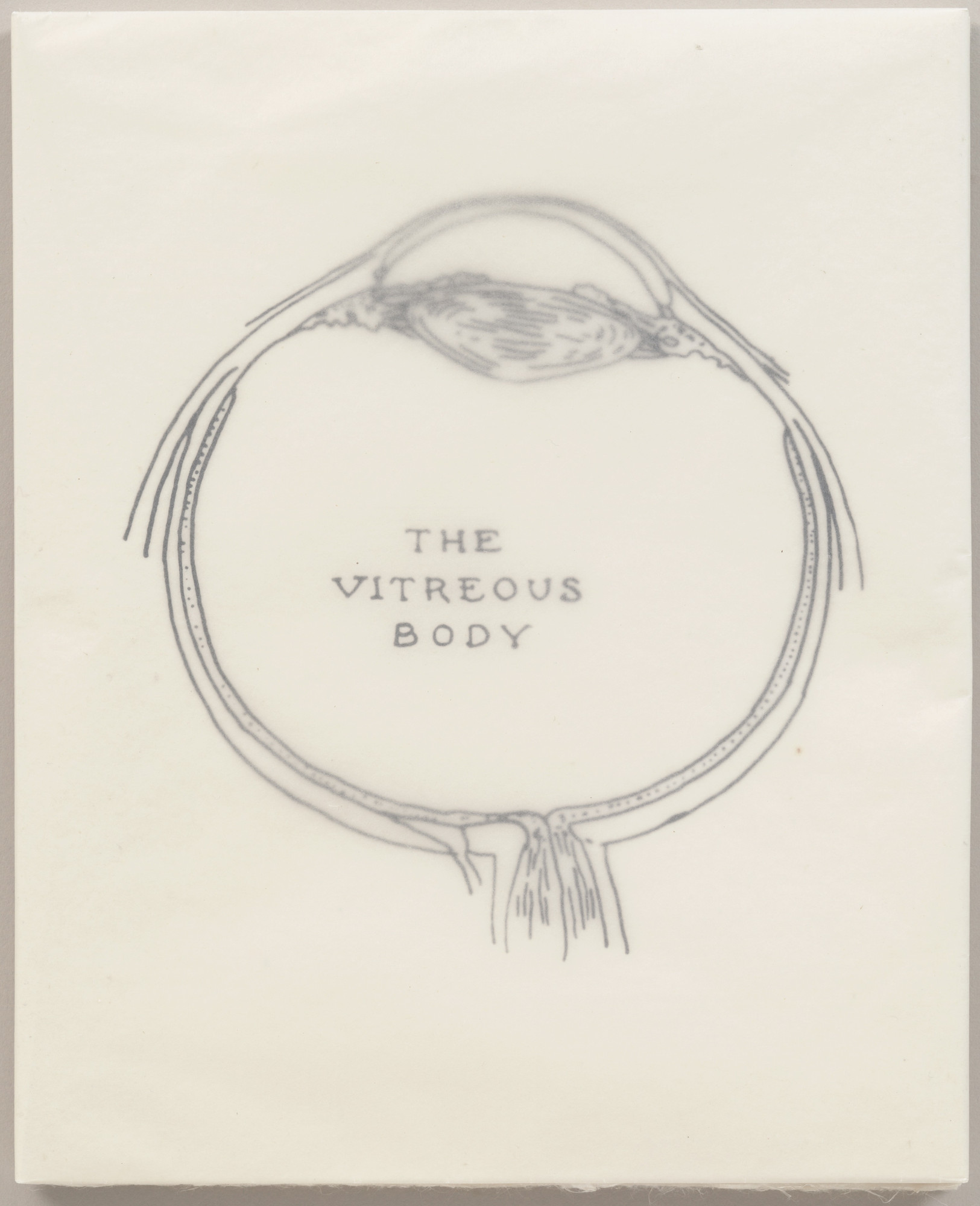 Kiki Smith. The Vitreous Body