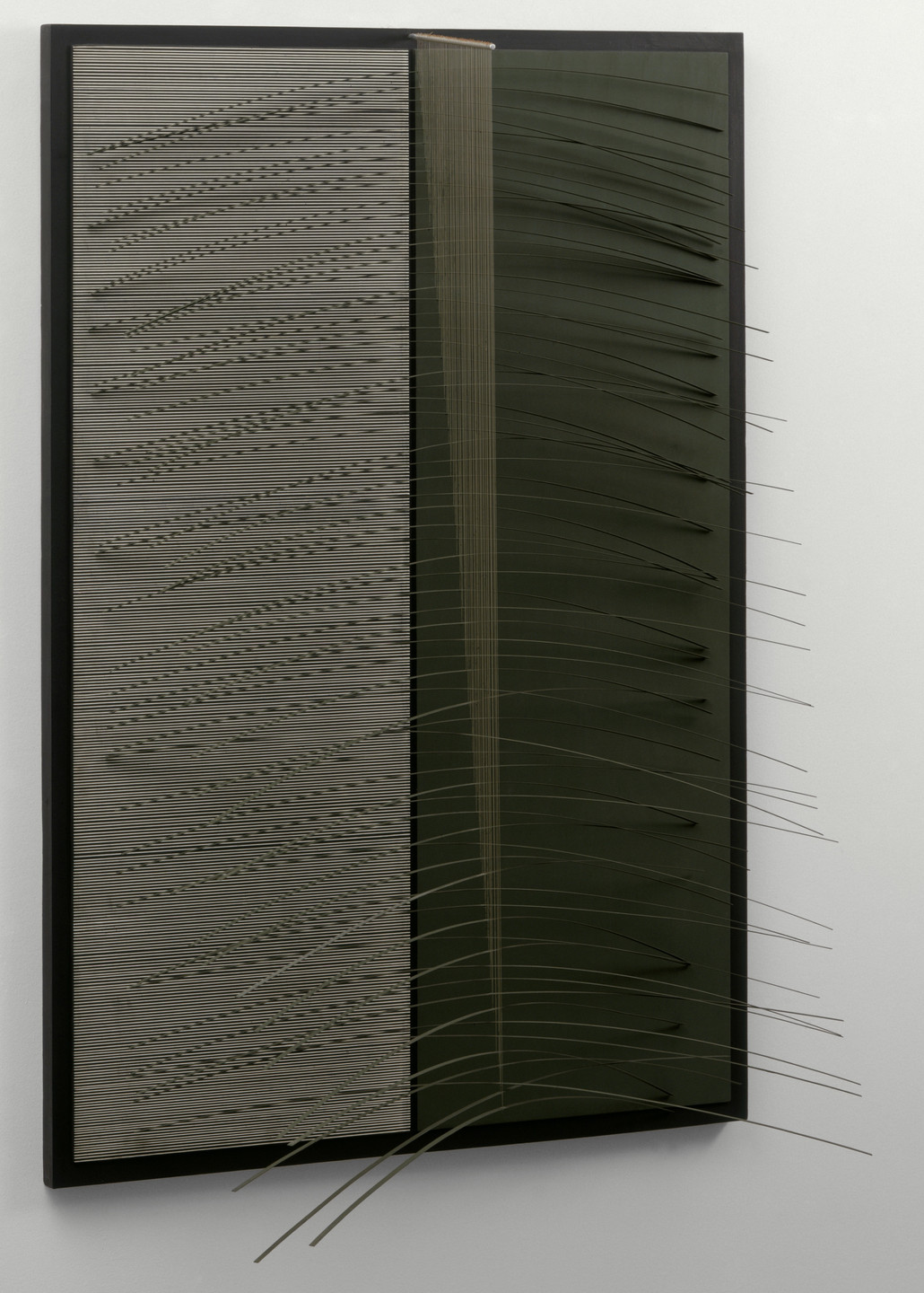 Jesús Rafael Soto. Olive and Black. 1966