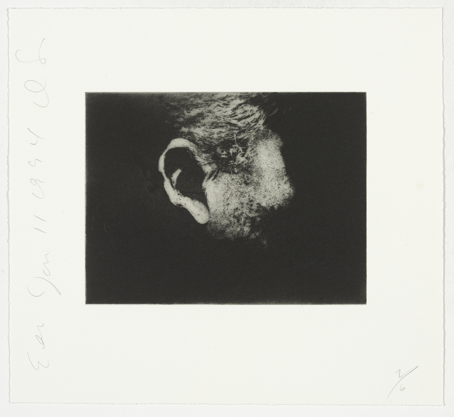 Donald Sultan. Ear from Body Parts. 1994