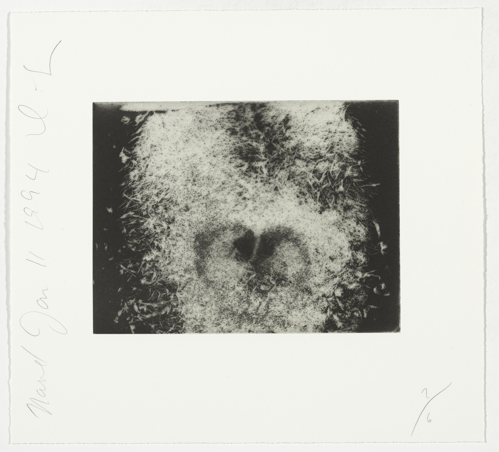 Donald Sultan. _Navel _ from Body Parts. 1994