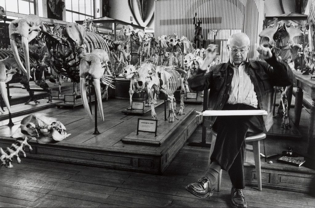 Henri Cartier-Bresson at the Natural History Museum, Paris