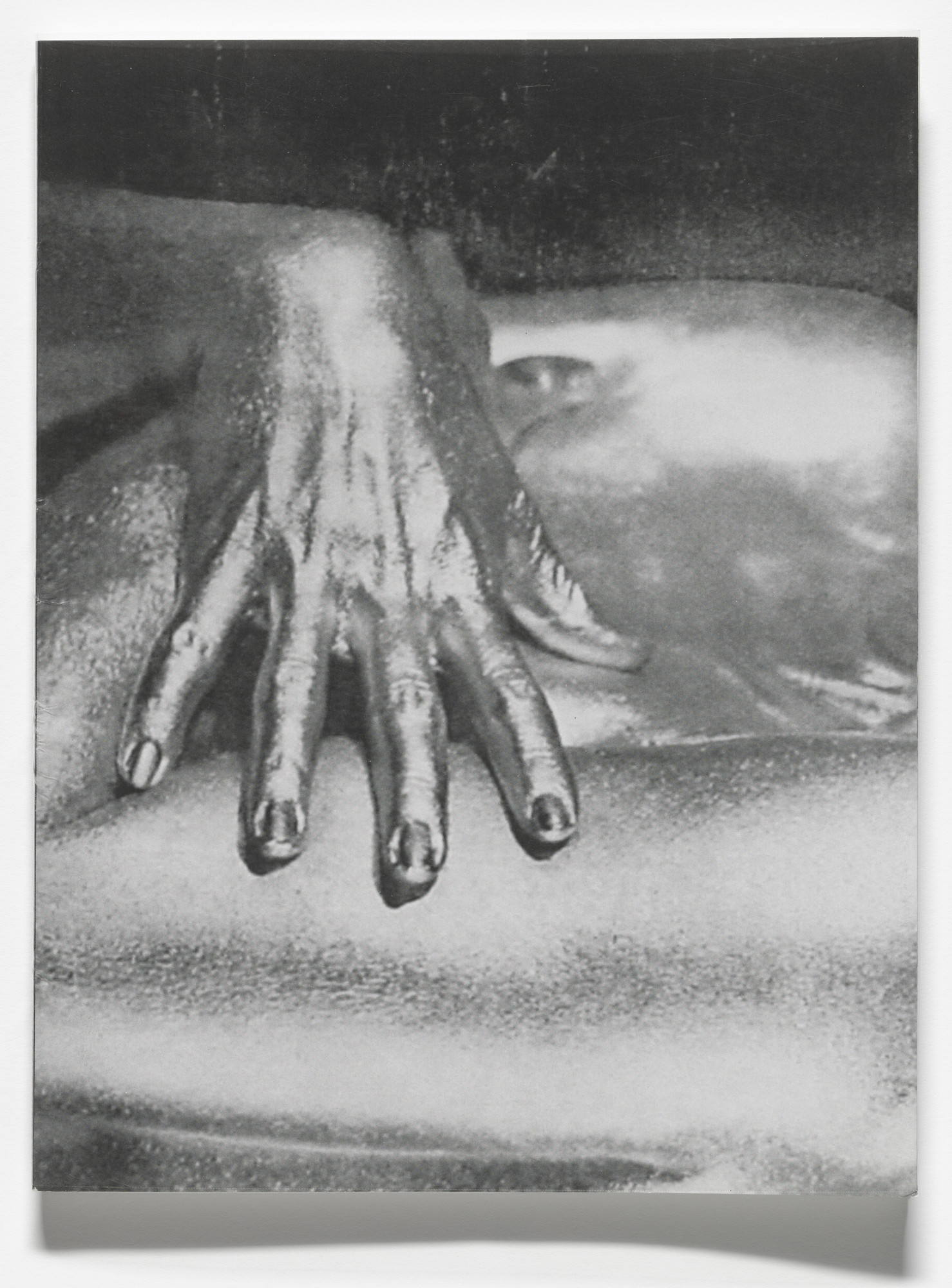 Rosemarie Trockel. Lebendes Geld from the series Ex Libris