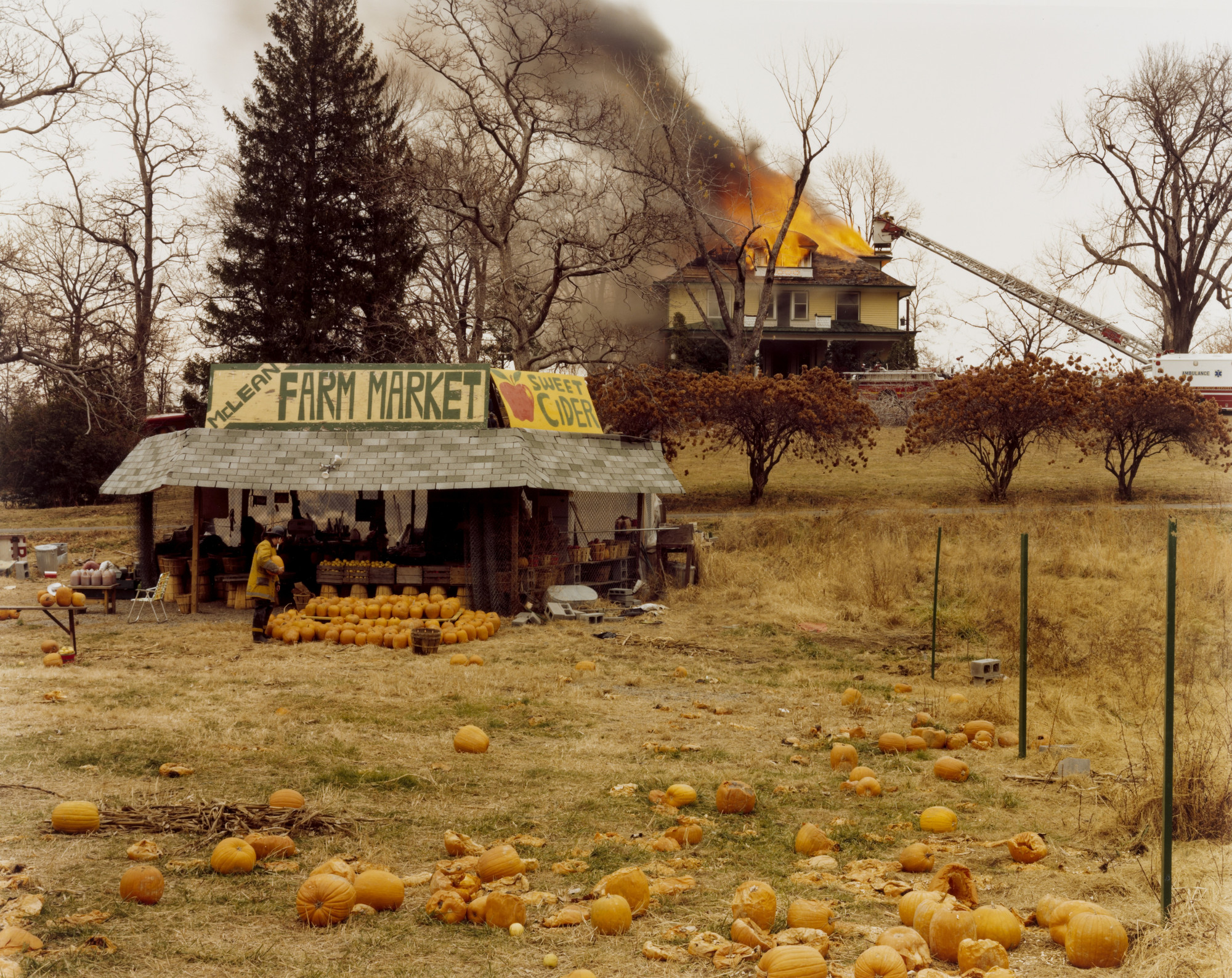 Joel Sternfeld | MoMA