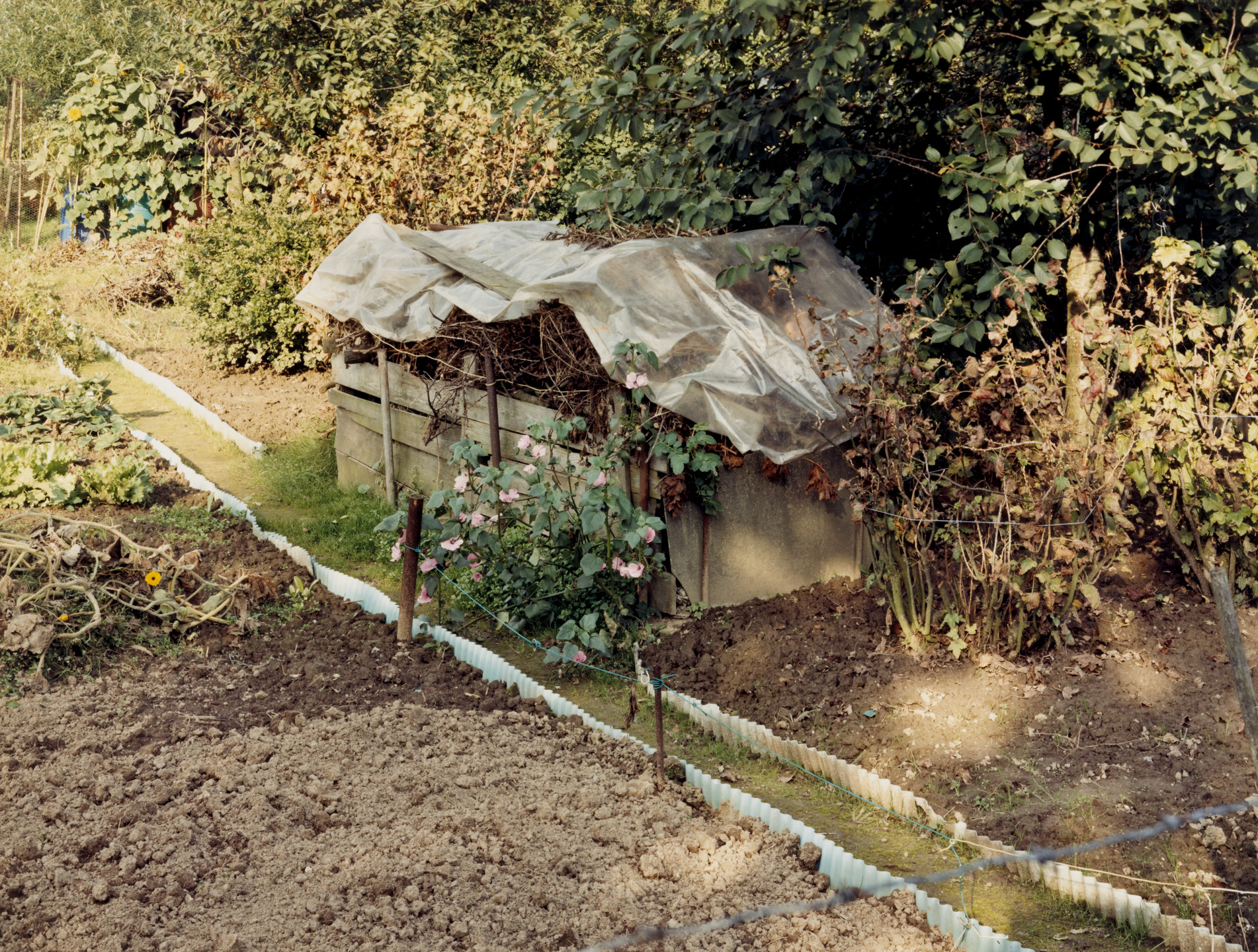 Simone Nieweg. Compost Heap, Schlosshof Street Colony, Bielefeld. 1987