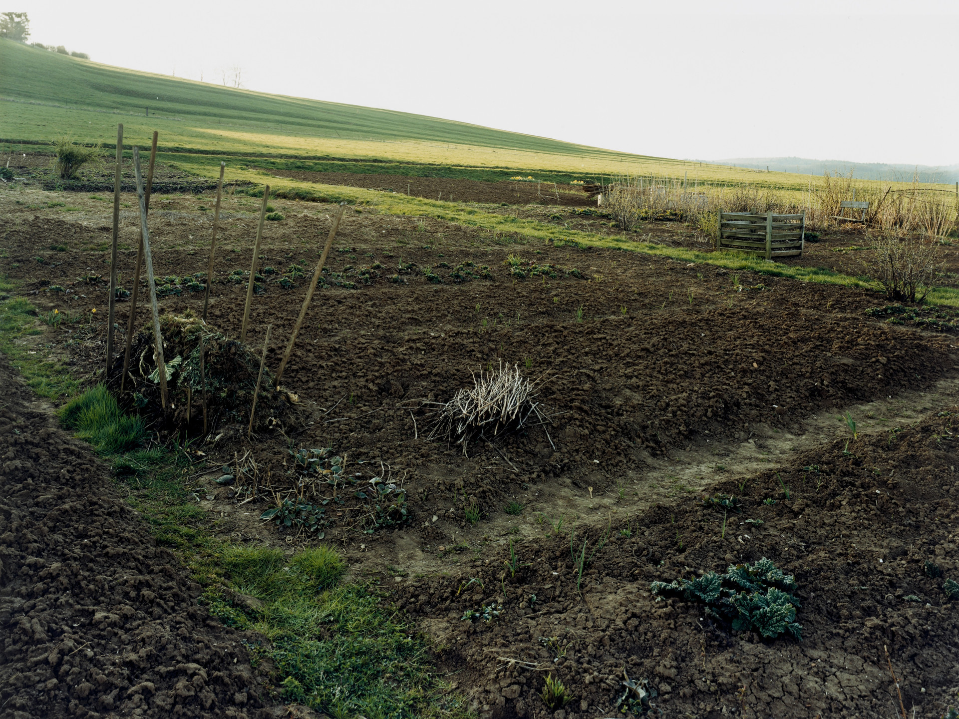 Simone Nieweg. Field, Härtsfeld/Schwäbische Alb. 2000