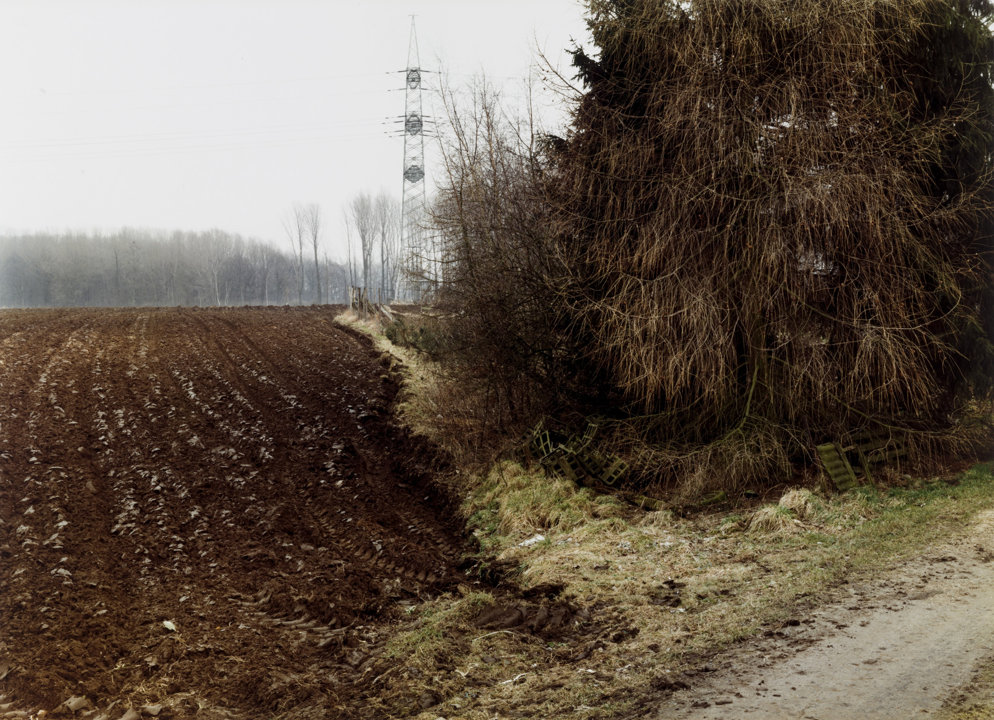 Simone Nieweg - Landshaften und Gartenstucke ED100 Photo