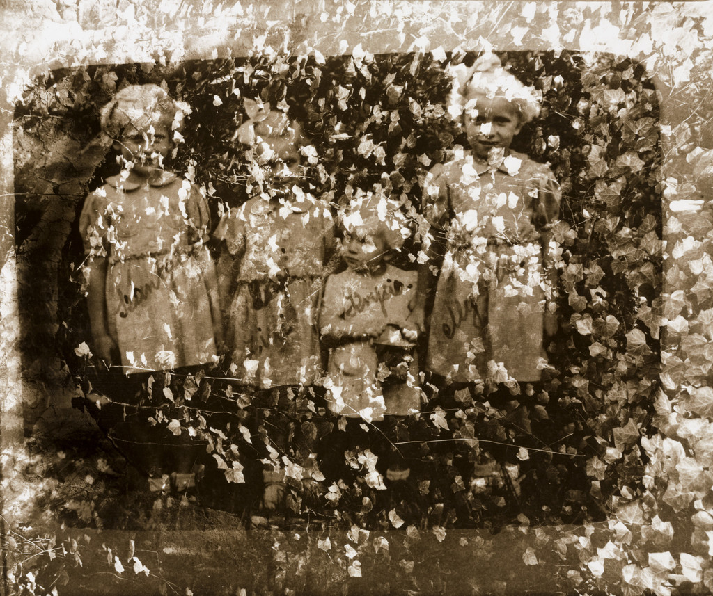 Black Garden