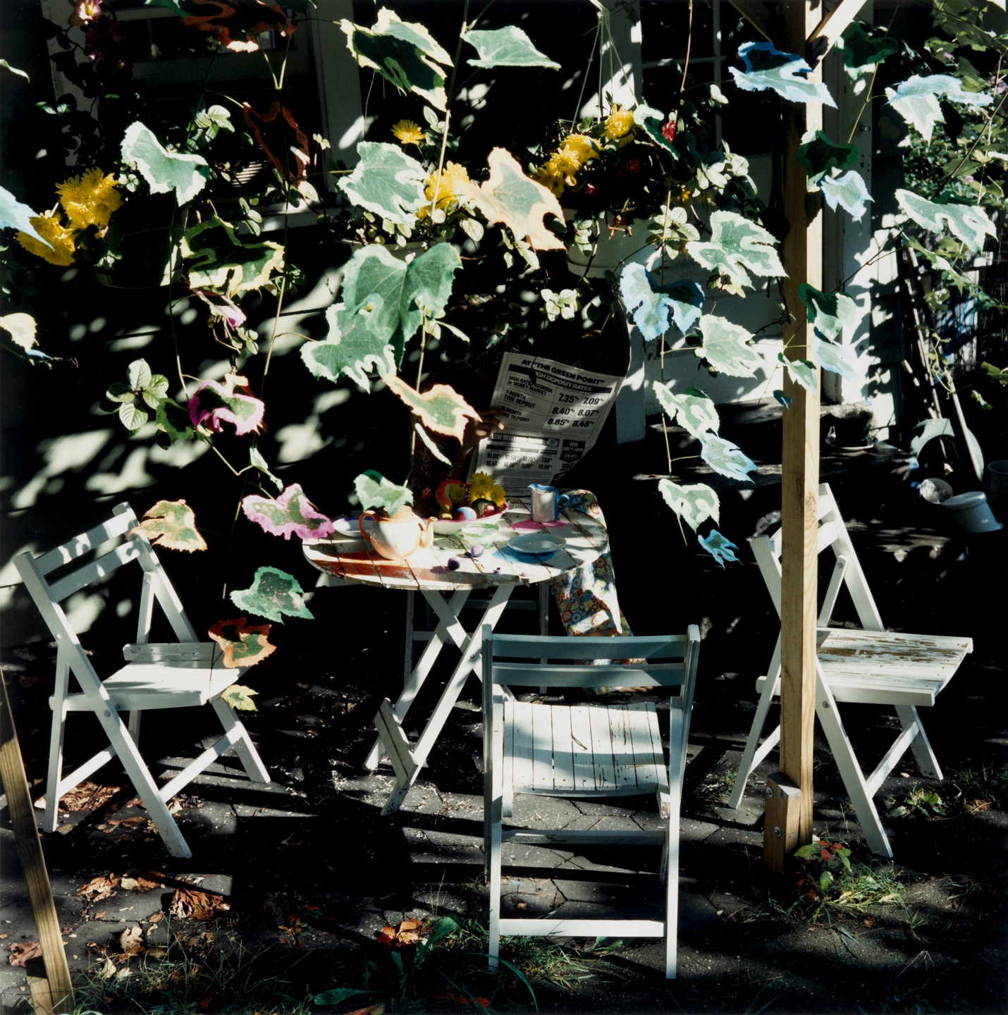 Chris Schiavo. Morning Paper. 1988