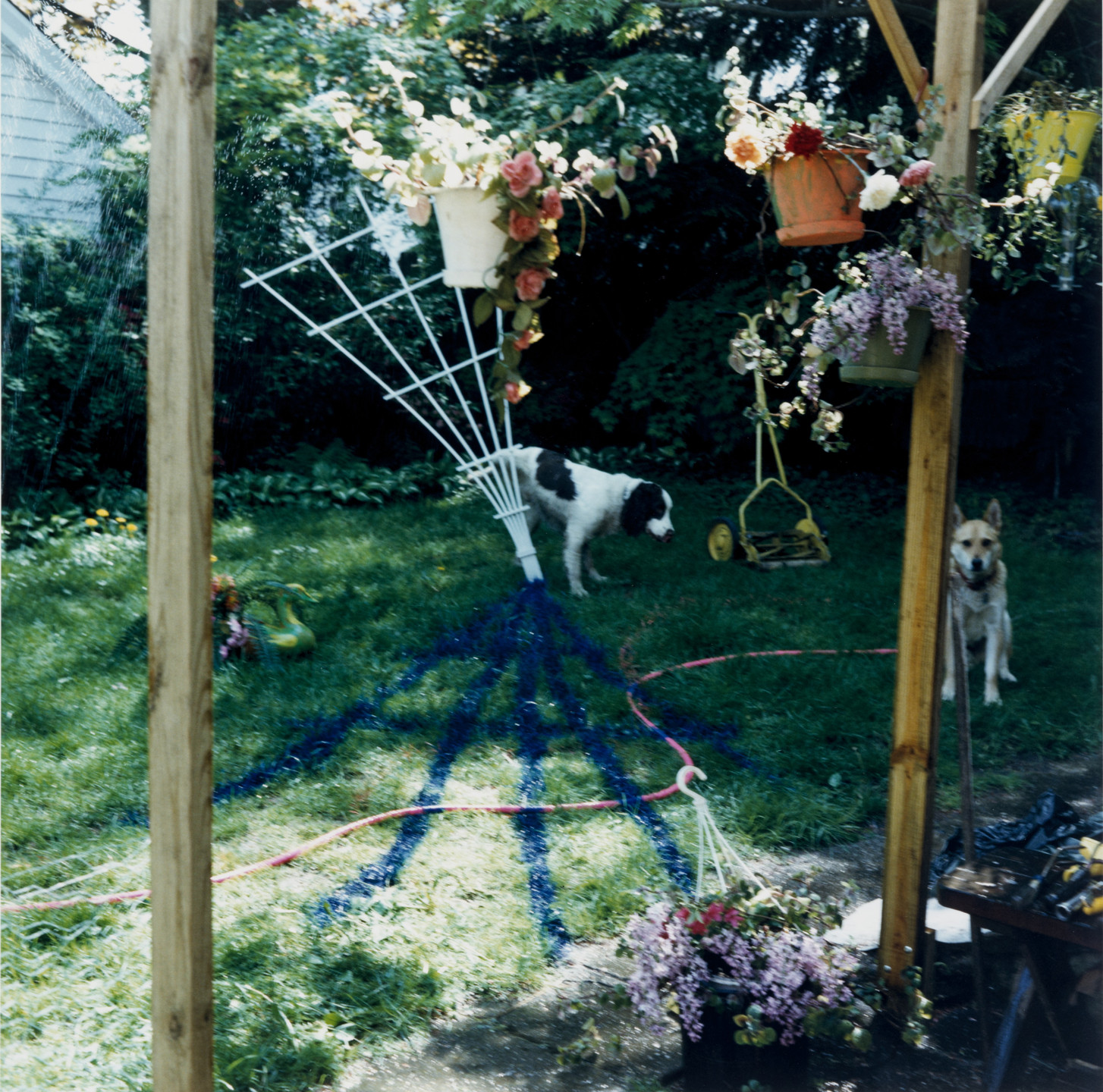 Chris Schiavo. Barney and Rama. 1988