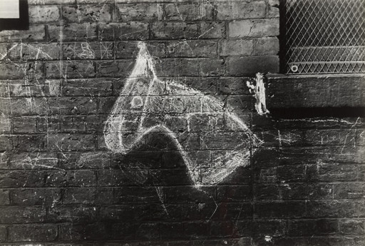 Horse's Head