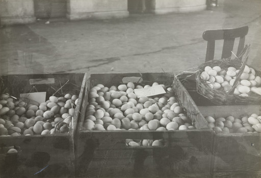 Eggs