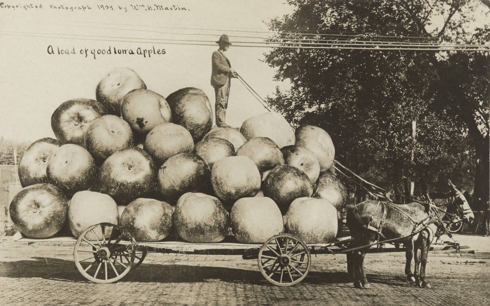 William H. Martin. A Load of Good Iowa Apples. 1909