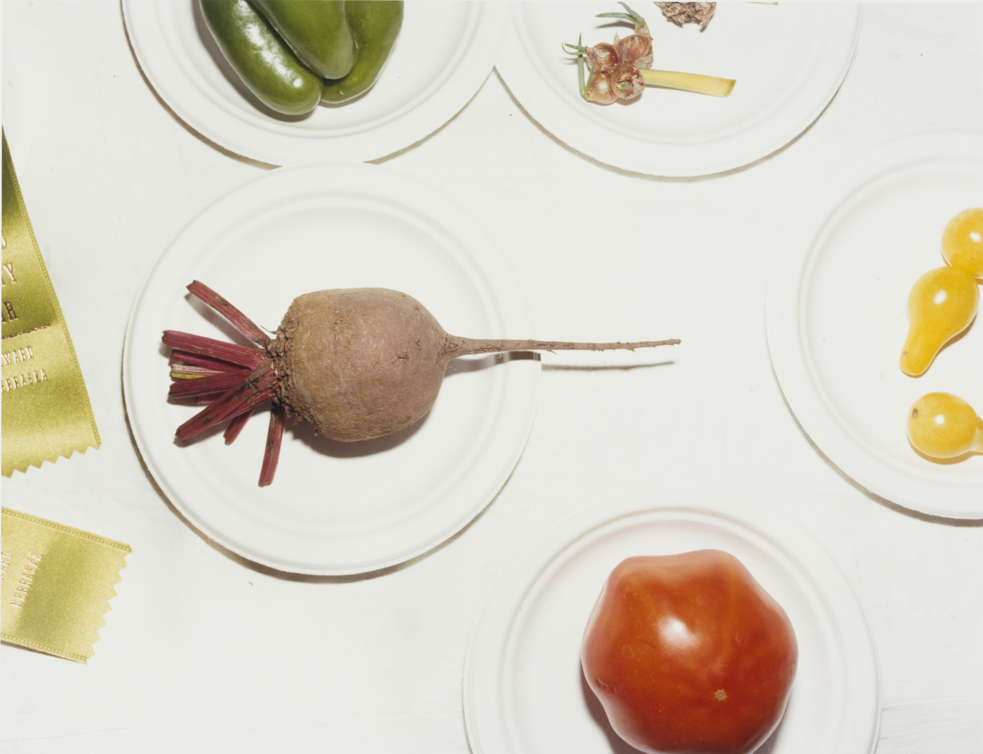 Ronald R. Geibert. Vegetables, Seward County, Seward, Nebraska