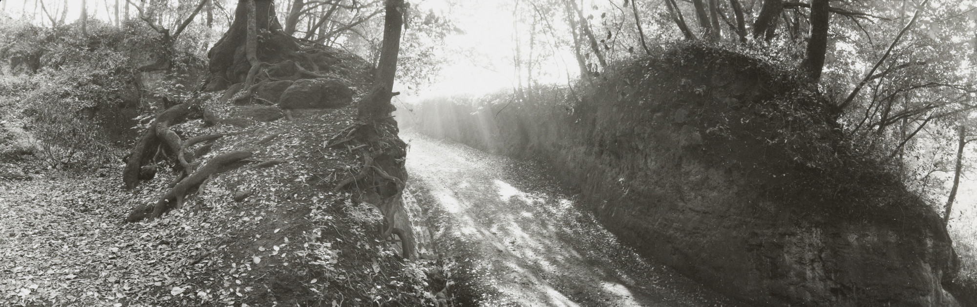 Geoffrey James. Etruscan Road at Veio. 1989