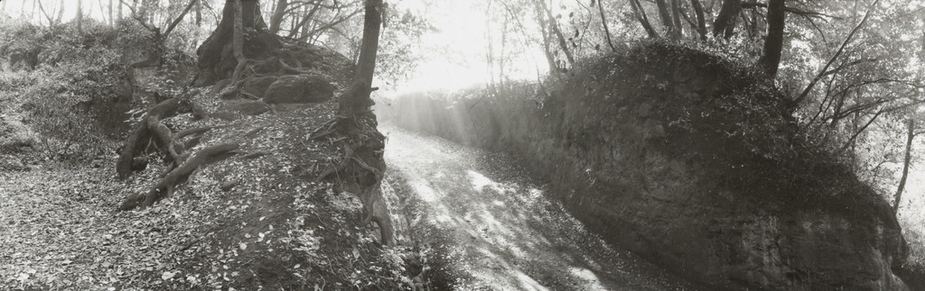 Wooded