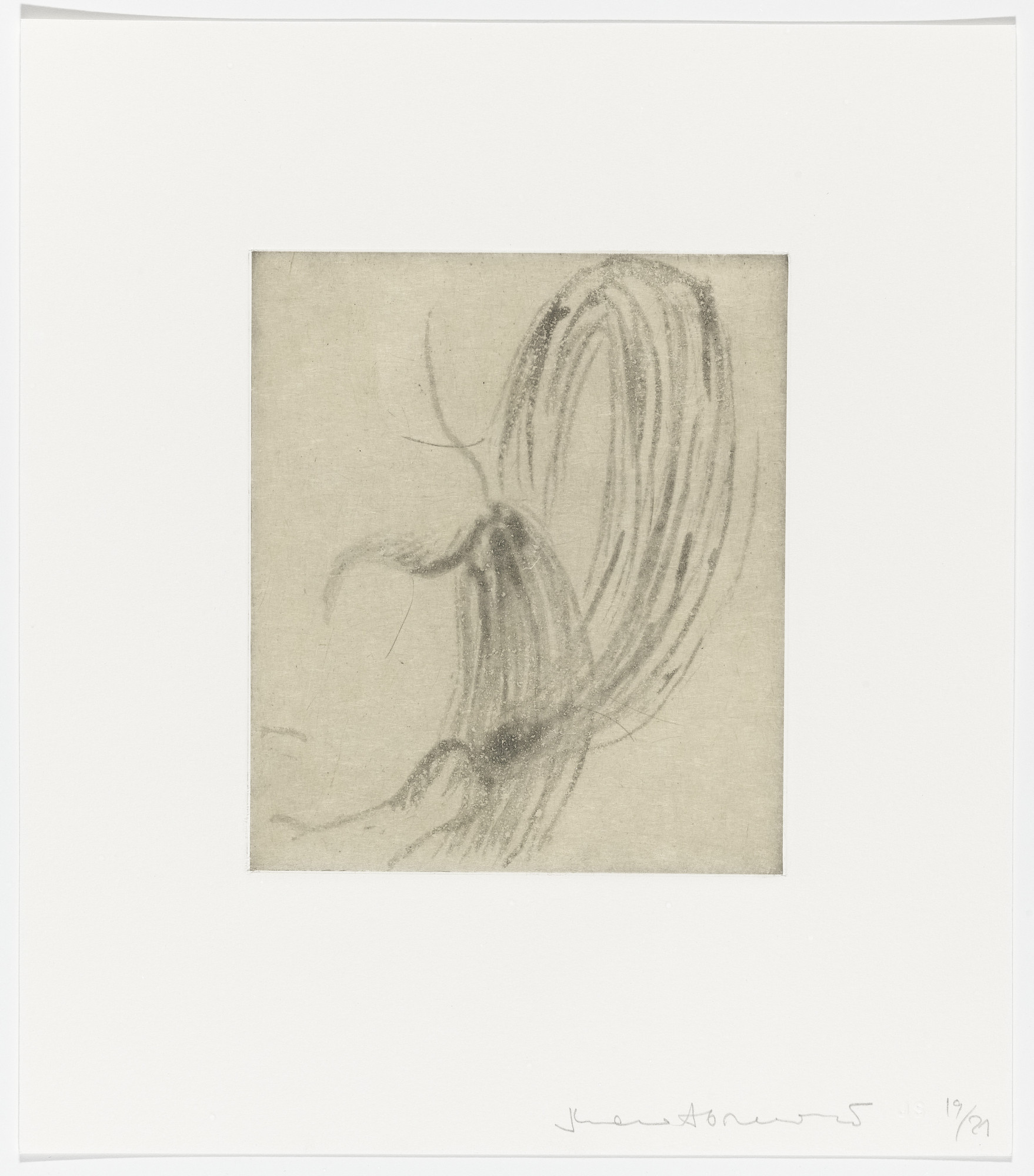 Marina Abramović. Untitled from Spirit Cooking