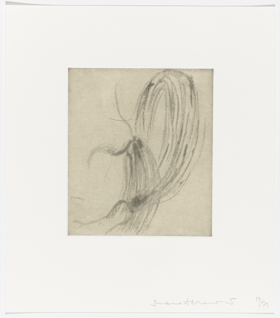 Untitled from Spirit Cooking