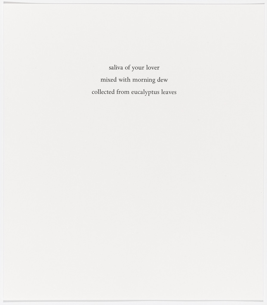 Untitled from Spirit Cooking