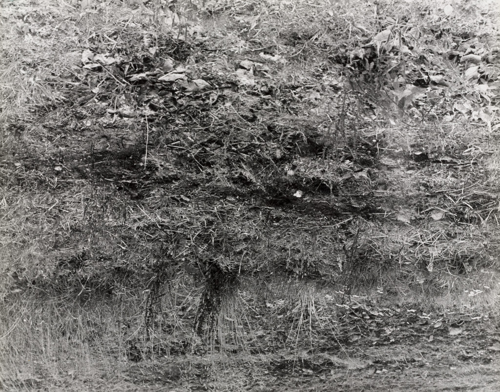 Cycle of Civilization. The Mythology of the Civilizing Processes, VALIE EXPORT, 1972