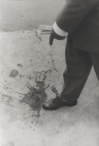 Blood, Vallejista Movement, Mexico