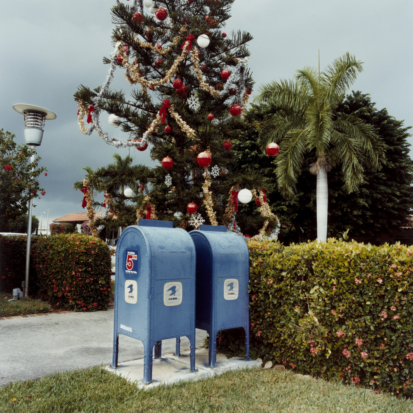 Joyce Culver. Two Mailboxes, Boca Raton, Florida. 1981