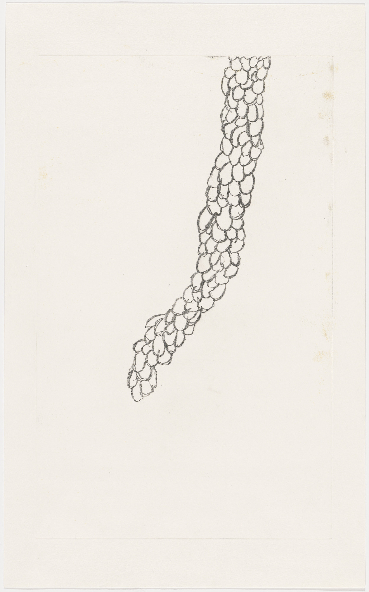 Louise Bourgeois. Plate 7 of 7, only state, from Look Up!