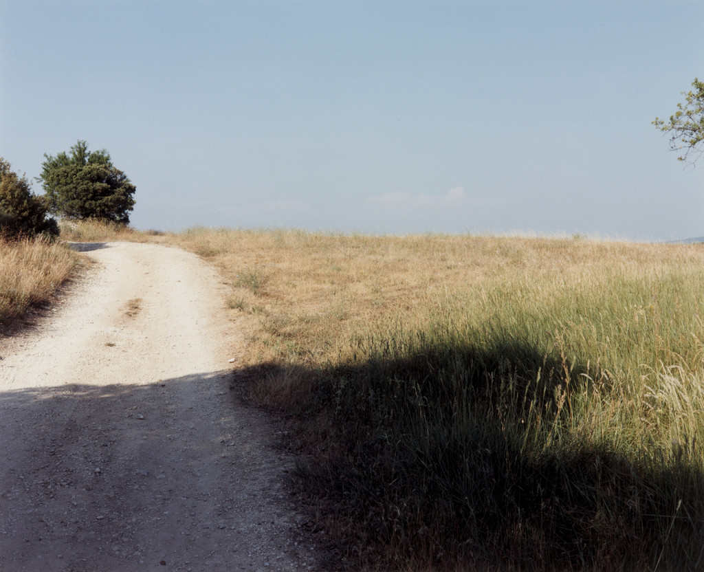 A Patch of Shade near Bonnieux, Provence, France