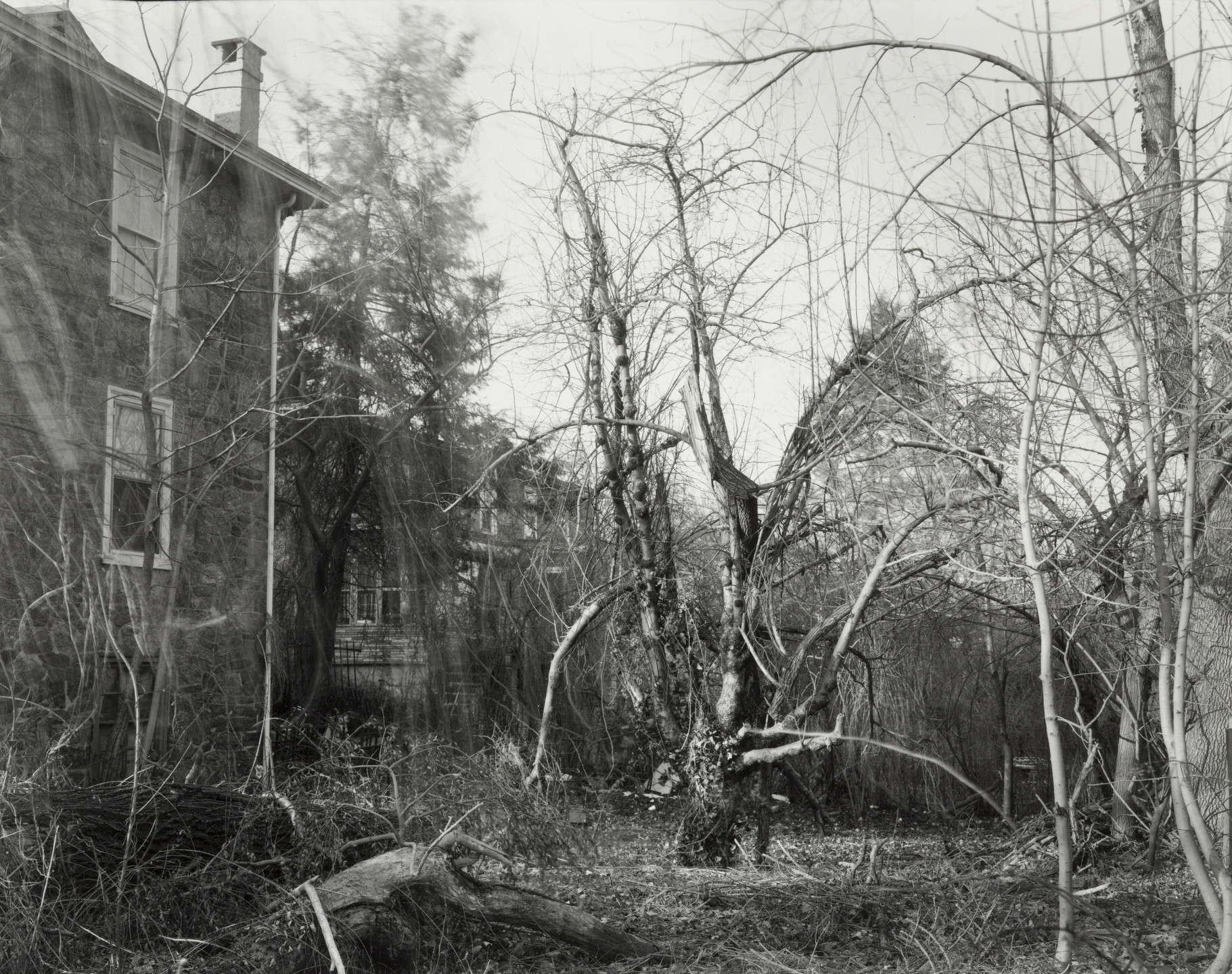 Michaela Allan Murphy. Untitled. 1982
