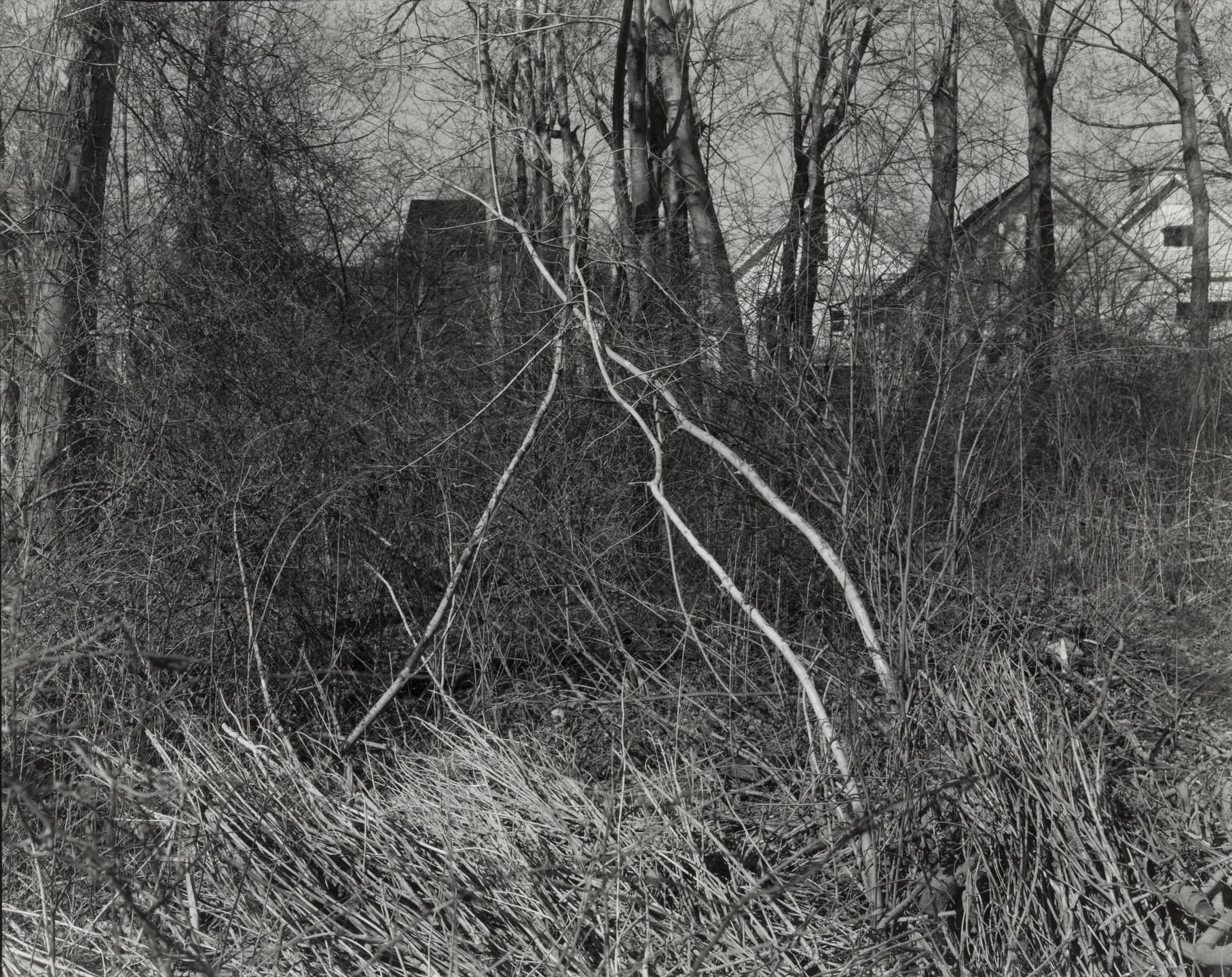 Michaela Allan Murphy. Untitled. 1982