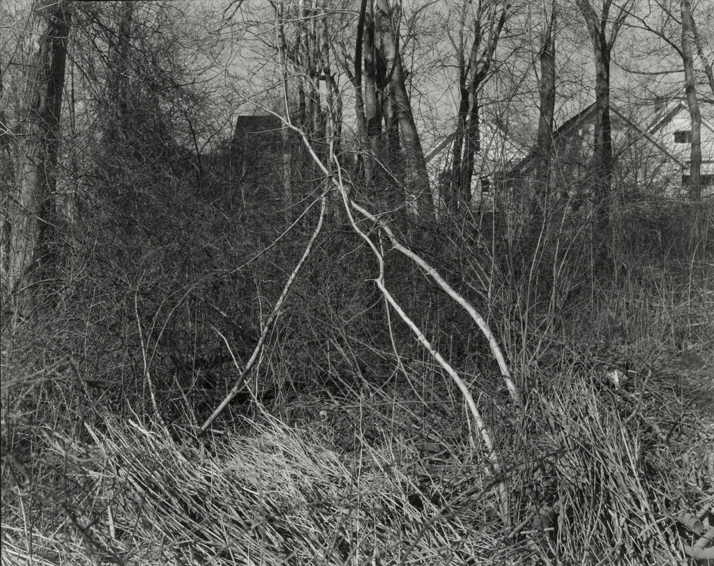 Untitled, Michaela Allan Murphy, 1982