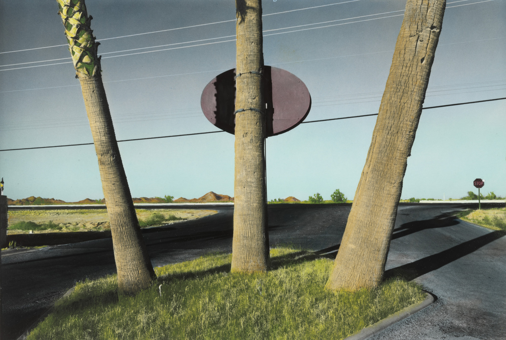 Reed Estabrook. Chandler, Arizona. 1974