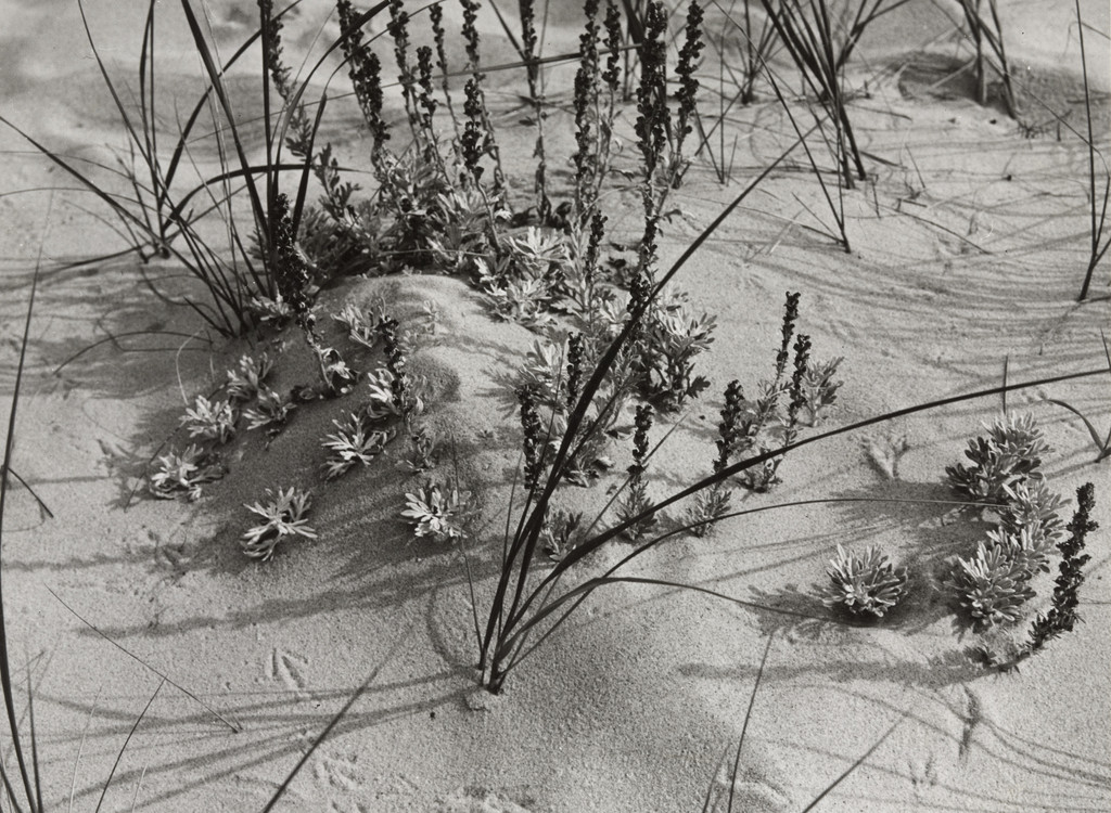 Sand