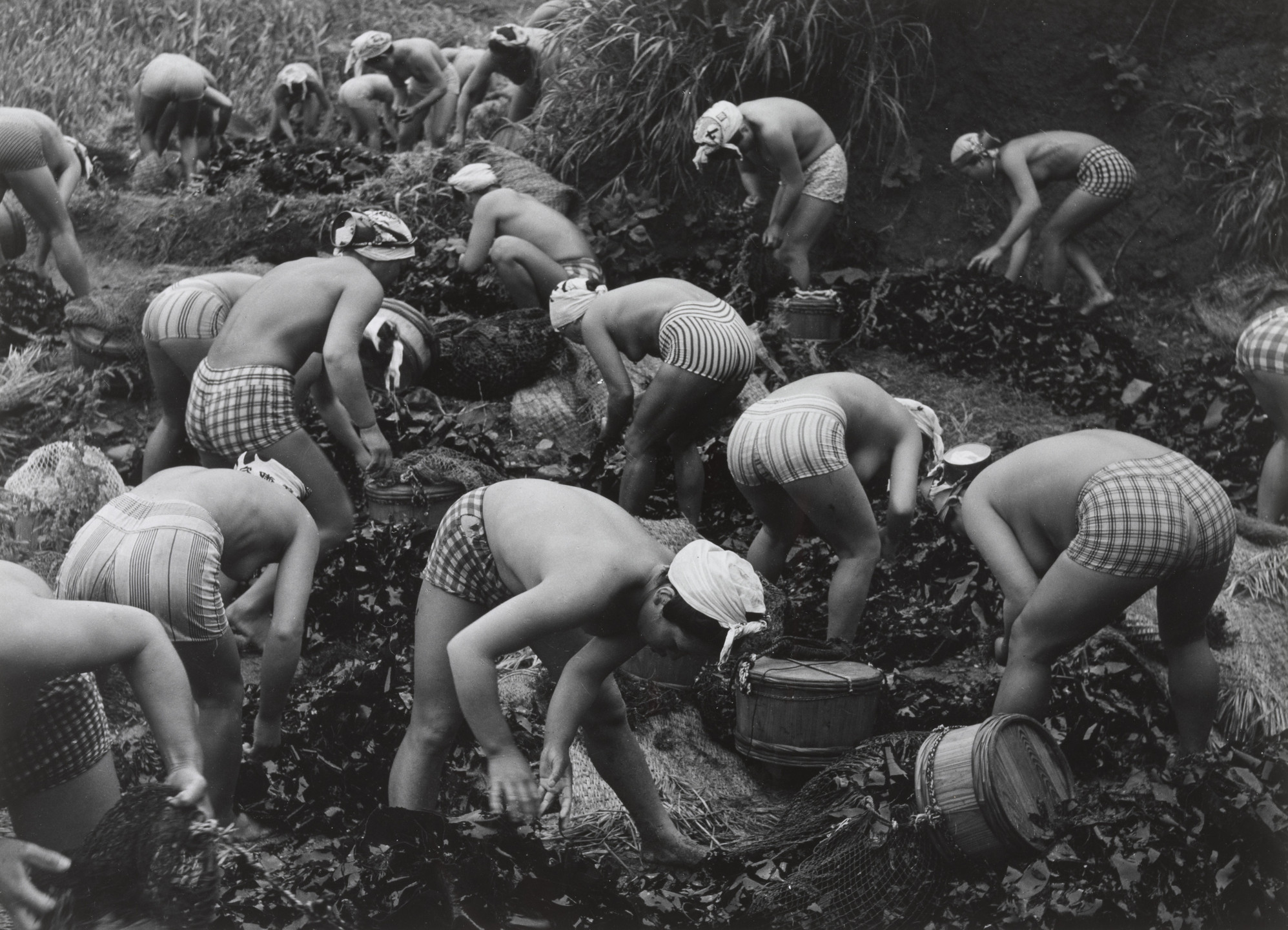 Yoshiyuki Iwase. Untitled (Ama Divers). 1956